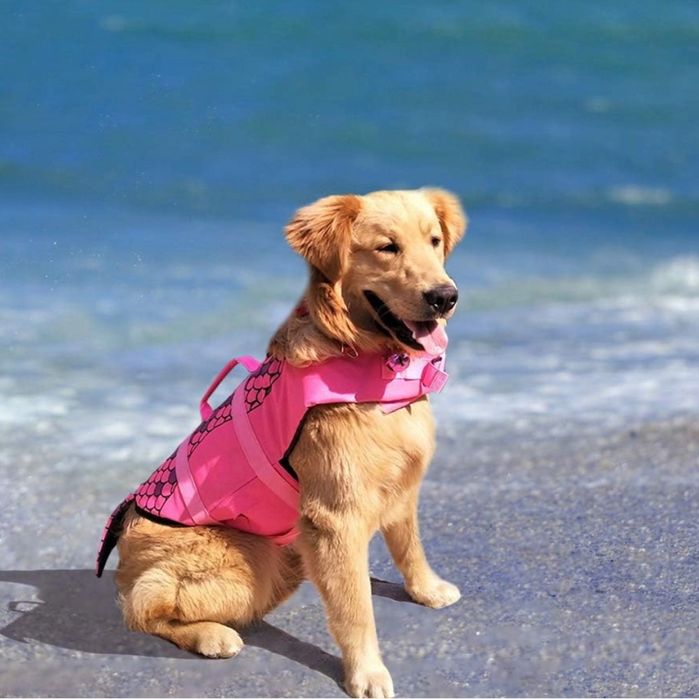 Dog life vest